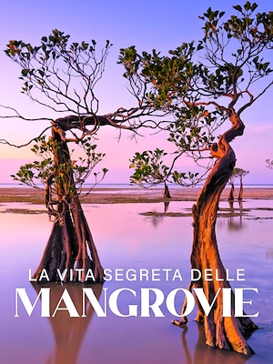 La vita segreta delle mangrovie - RaiPlay